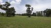 26300 US Hwy 90 photo